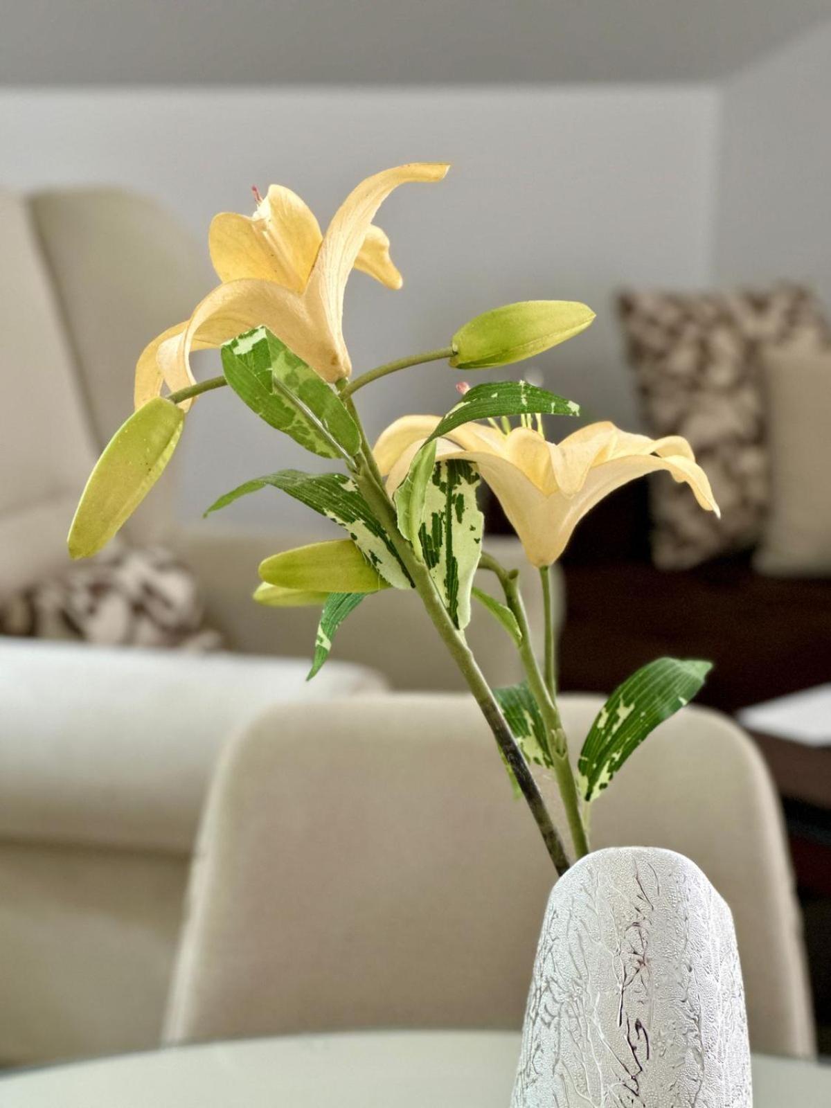 Apartments Teodo 외부 사진